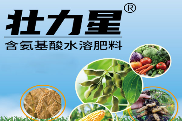 含氨基酸水溶肥料